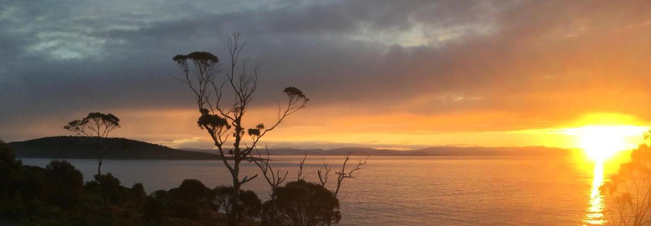 Chill Tasmania Βίλα White Beach Εξωτερικό φωτογραφία